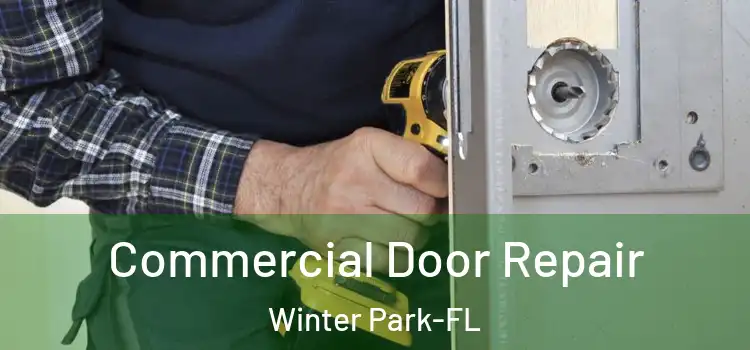  Commercial Door Repair Winter Park-FL