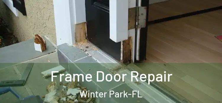  Frame Door Repair Winter Park-FL