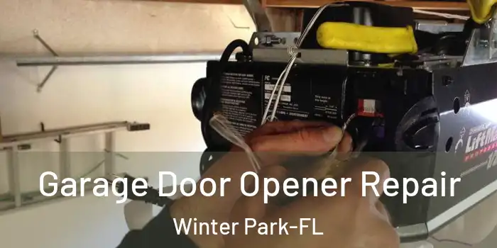  Garage Door Opener Repair Winter Park-FL