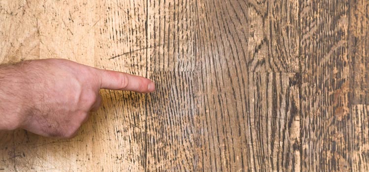 Wood Door Scratch Repair in Winter Park