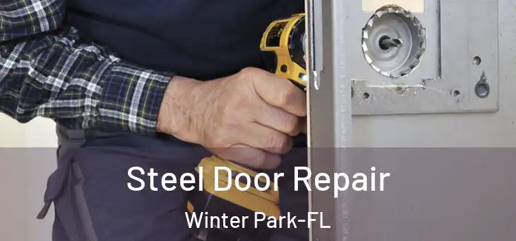  Steel Door Repair Winter Park-FL